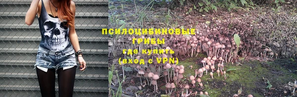 мескалин Алексеевка
