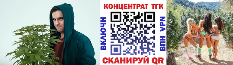 Дистиллят ТГК Wax Нолинск