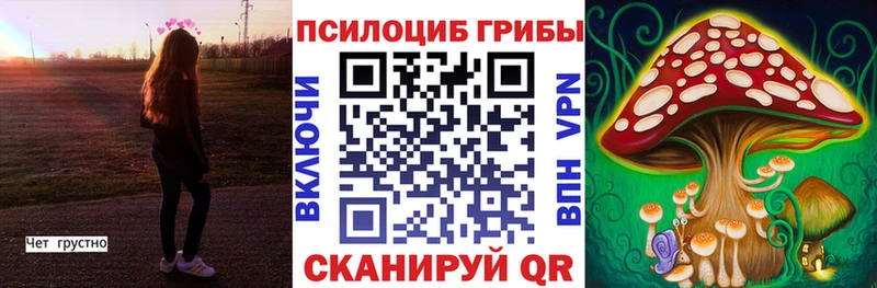 Псилоцибиновые грибы Cubensis  omg ссылка  Нолинск 